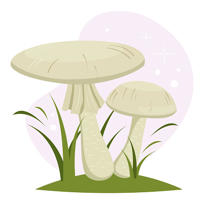 Vector illustration of a toadstool mushroom in the grass. Inedible, poisonous mushrooms.