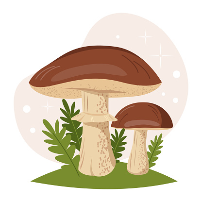 Vector illustration. Edible mushroom with a brown cap in the grass. Boletus mushroom.