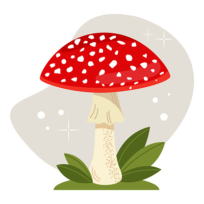 Vector illustration of a fly agaric in the grass. Inedible, poisonous mushrooms.