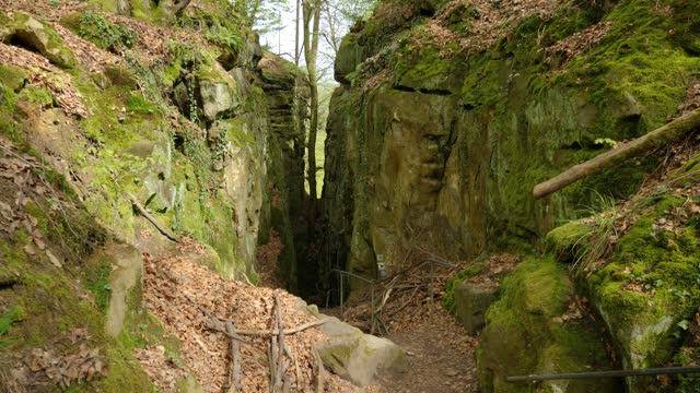 Devil's Gorge or Teufelsschlucht, a famous canyon in Germany