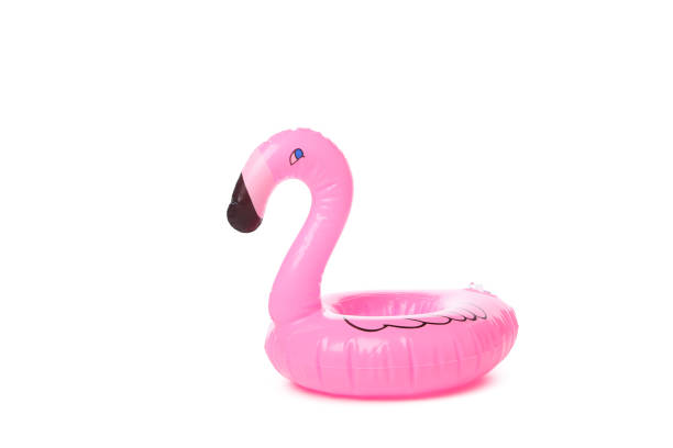 istock Rubber ring flamingo isolated on white background 2148699149