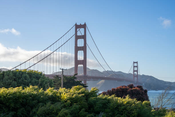 istock View of the Golden Gate Bridge above Trees 2148699589