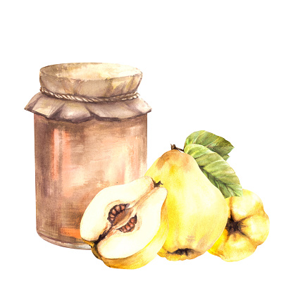 Quince fruit jam in a retro glass jar, ripe yellow whole and cut fruit slice. Watercolor hand drawn illustration. Fruit Jelly, marmalade or drink label, sticker, logo print. Isolated white background.