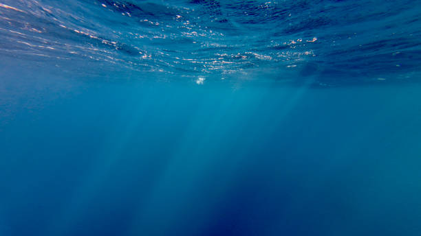 istock View of the sun's rays underwater. 2148702614