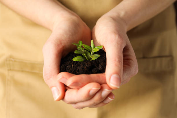 istock Earth Day, Environment concept and Eco concept 2148703166