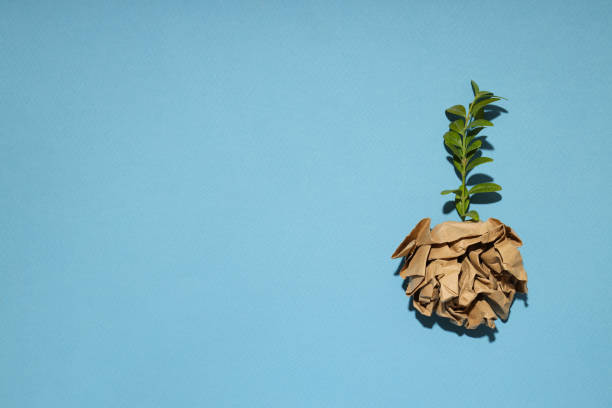 istock Earth Day, Environment and Eco concept, space for text 2148703219