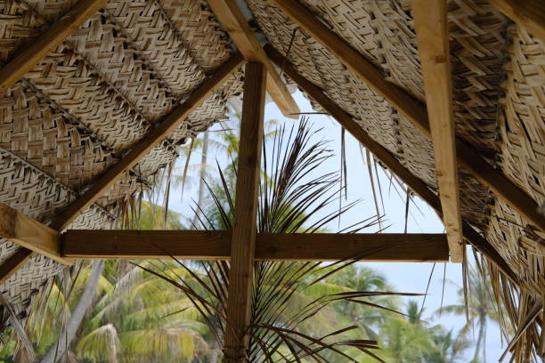 istock A view from the lobby on some palm trees. 2148703221