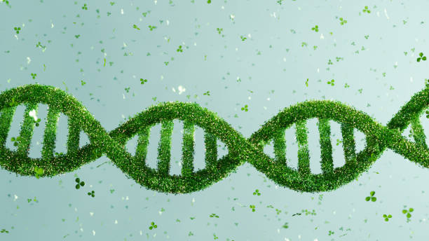 istock 3D render of DNA structure made of green leaves, bioengineering and sustainability in science. Environmental biology, green technology background. 2148703244