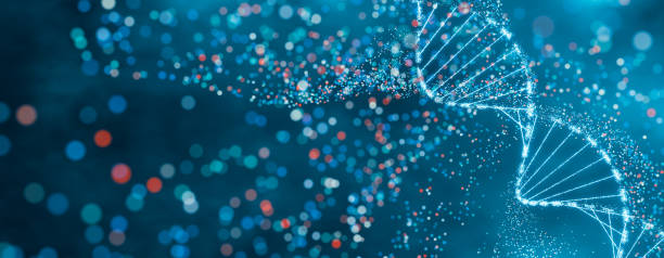 istock Sparkling DNA helix structure in blue and red. High-tech concept of genetic research, bioinformatics, and computational biology. Abstract visualization with bokeh effect and dynamic particles. 2148703246