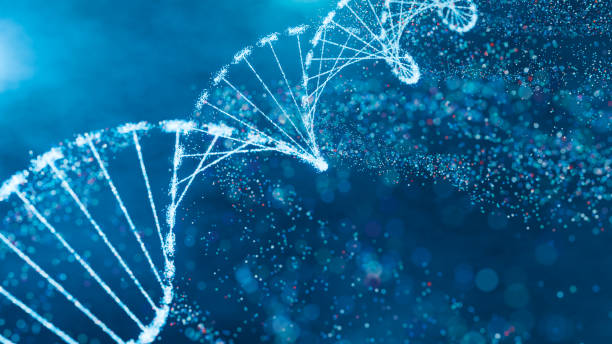 istock DNA double helix with sparkling nodes in a dynamic blue environment. Genomic sequencing, molecular biology, and genetic data analysis. Scientific research backgrounds, innovative health technology designs, and educational illustrations. 2148703252