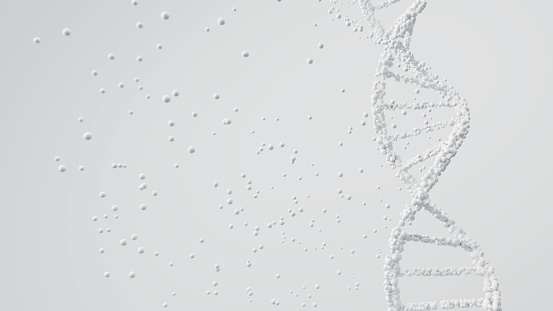 Minimalistic 3D illustration of a DNA double helix in white against a clean background. Genetic purity and medical research.