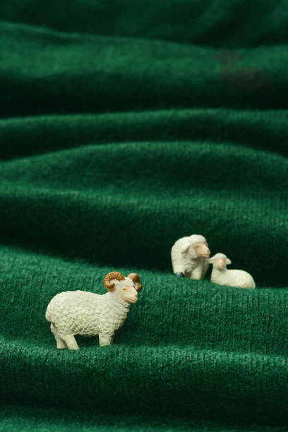 A crochet Amigurumi toy of a of cute stuffed white sheep.