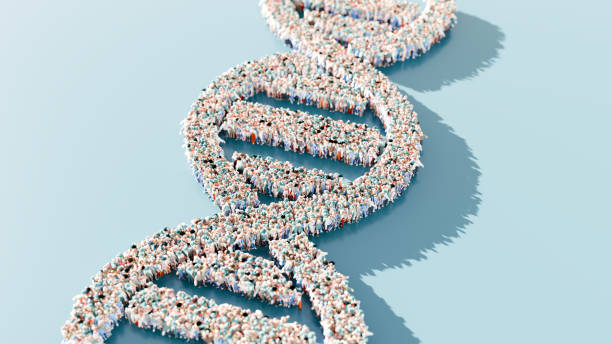istock DNA double helix structure composed of diverse human figures on a light blue background. Unity and diversity in humanity concept for social science, community studies, and educational design 2148703280