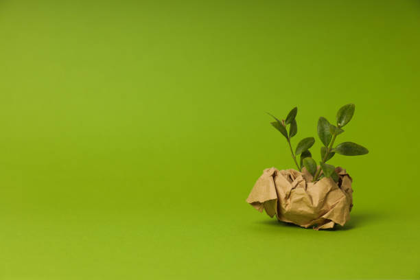 istock Earth Day, Environment and Eco concept, space for text 2148703462