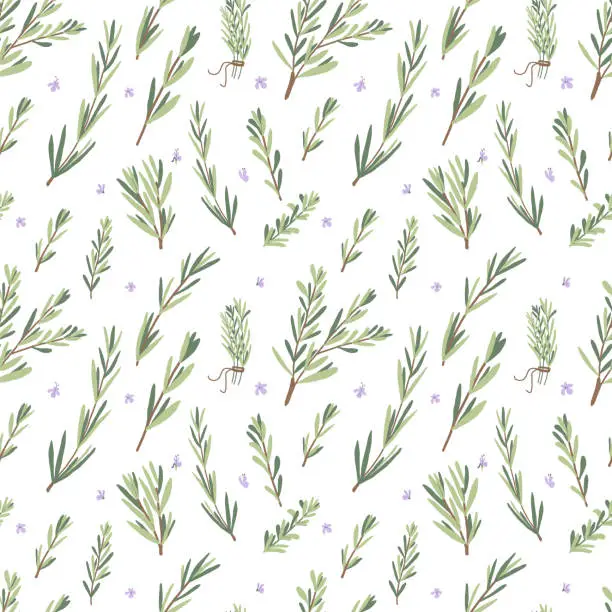 Vector illustration of Rosemary herb seamless pattern. Rosemary plant green leaves repeat background. Botanic endless cover. Vector hand drawn illustration.