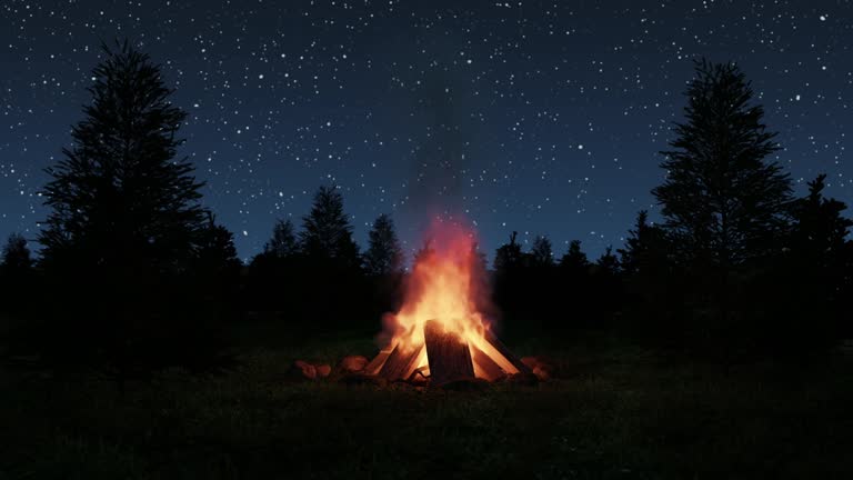loop of big bonfire in front of spruce trees and starry sky