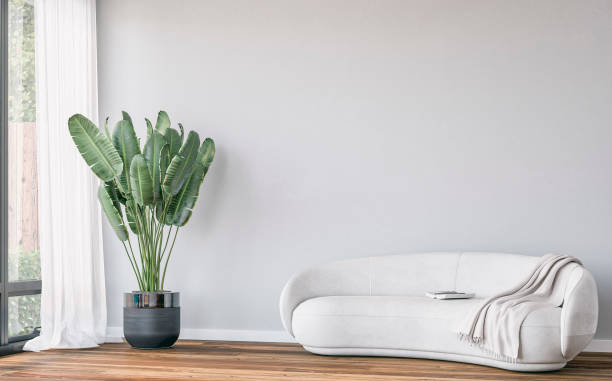 istock A front view, a close-up of a modern empty semi-furnished interior with a white  rounded sofa in front of an empty wall bakground, a potted plant (strelitzia - Bird of paradise), a garden view through windows in the background 2148708749