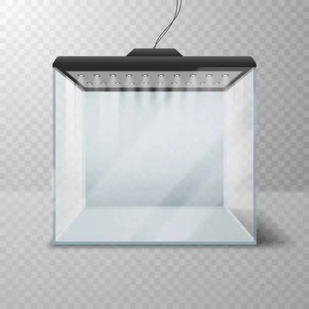 Vector illustration of Realistic glass cube or aquarium with lighting.