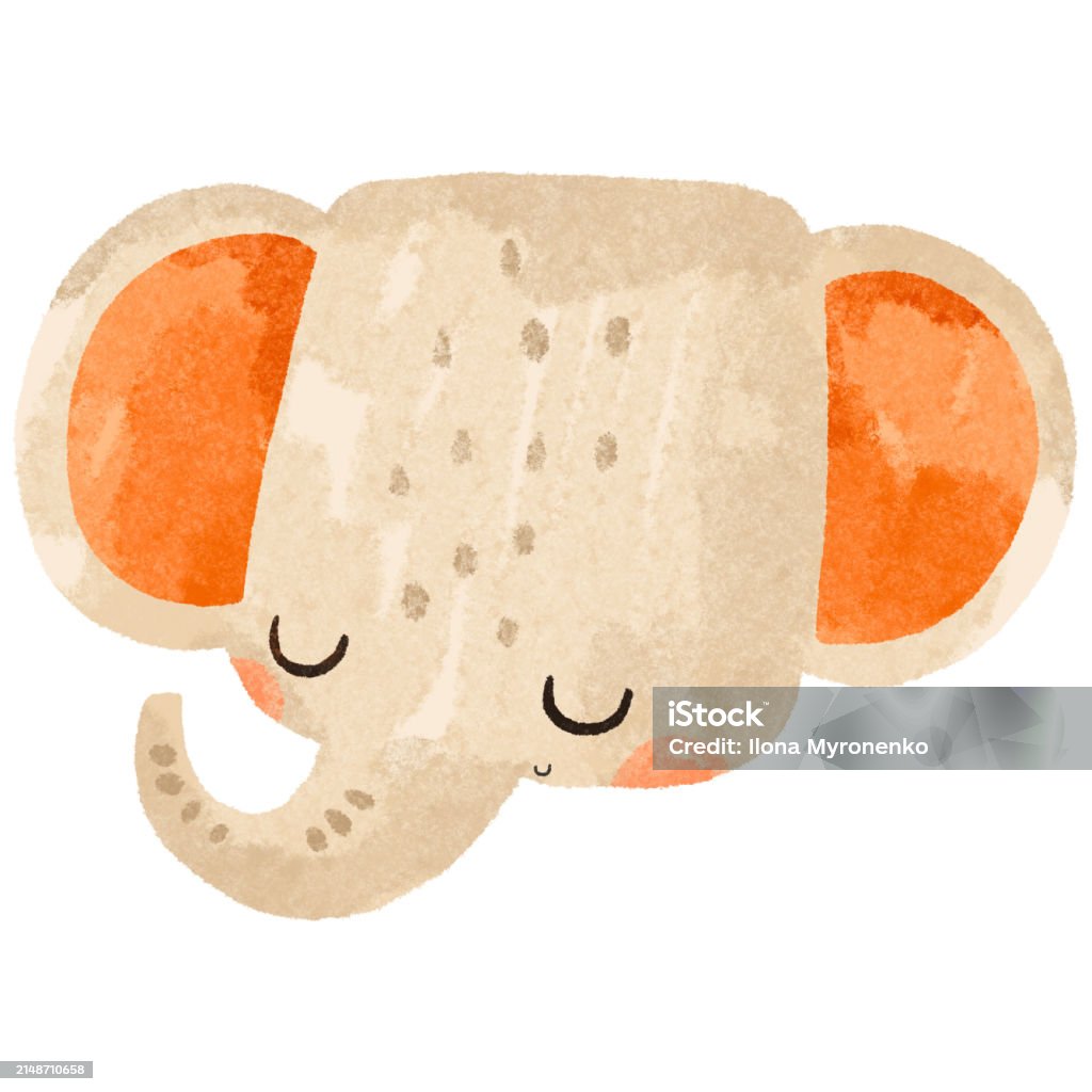 Potret Hewan Wajah Gajah Yang Lucu Ilustrasi Bayi Lucu Di Latar Belakang Yang Terisolasi Potret Hewan Wajah Gajah Yang Lucu Ilustrasi Bayi Lucu Di Latar Belakang Yang Terisolasi