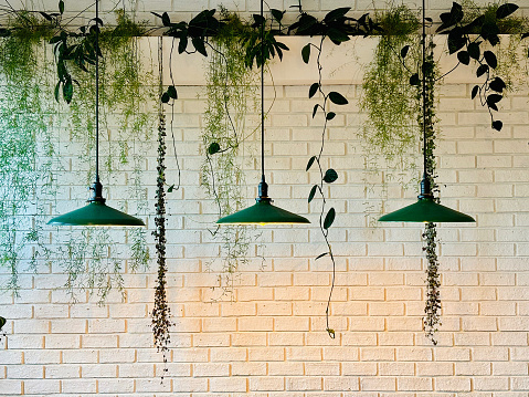 Coffee shop vibe with hanging plants and three identical green fixtures.