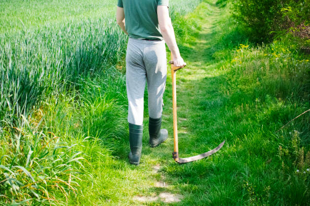One man walking through his family orchard