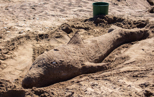 Dolphin made of sand on the beach.