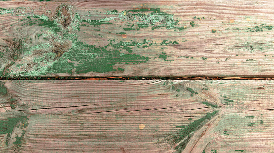 Old wooden boards painted with green paint. Background.