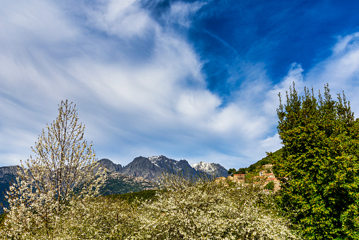 paysage de nature en Corse du sud au printemps