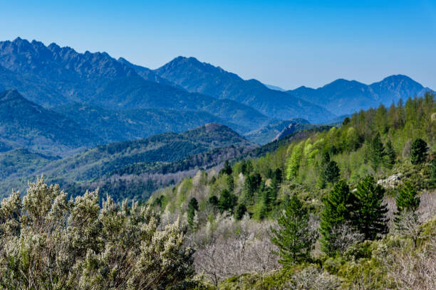 paysage de nature en Corse du sud au printemps