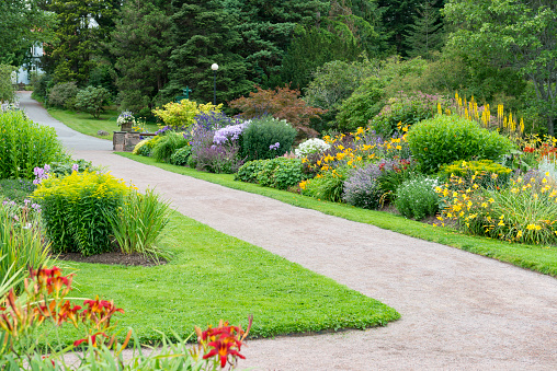 Multicolored flowerbeds in Botanical garden.