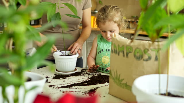 Girl Home Gardening with Mom. Repotting Houseplants.