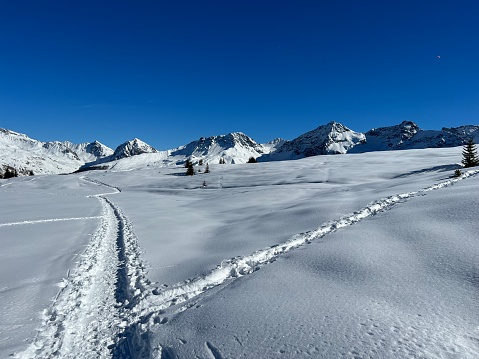 Wonderful winter hiking trails and traces in the fresh alpine snow cover of the Swiss Alps and over the tourist resort of Arosa - Canton of Grisons, Switzerland (Kanton Graubünden, Schweiz)