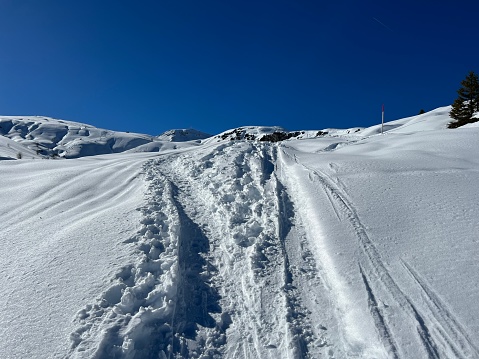 Wonderful winter hiking trails and traces in the fresh alpine snow cover of the Swiss Alps and over the tourist resort of Arosa - Canton of Grisons, Switzerland (Kanton Graubünden, Schweiz)