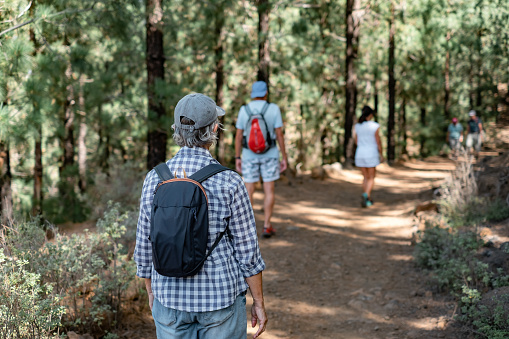 Back view of senior group of caucasian people walking in mountain footpath in Tenerife enjoying healthy lifestyle and freedom in nature. Elderly retired and adventure ageless concept.