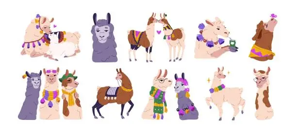 Vector illustration of Llamas set. Different cute alpacas characters. Mother lama and her baby. Fluffy fashion animals in traditional mexican, peru clothes. Funny vicunas kiss. Flat isolated vector illustration on white