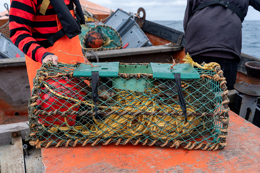 Net container to fish lobsters on a boat next to fishermen