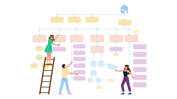 usability information architecture website vector usability information architecture website vector. content structure, user experience, organization hierarchy usability information architecture website character. people flat cartoon illustration taxonomy stock illustrations