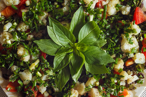 Vegetable salad. Close-up