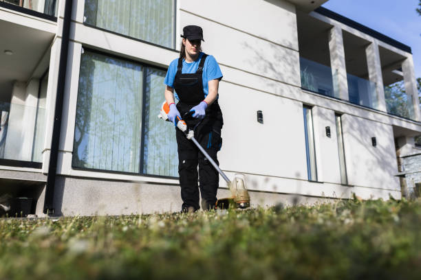 istock Female worker trimming grass outdoors 2148722763