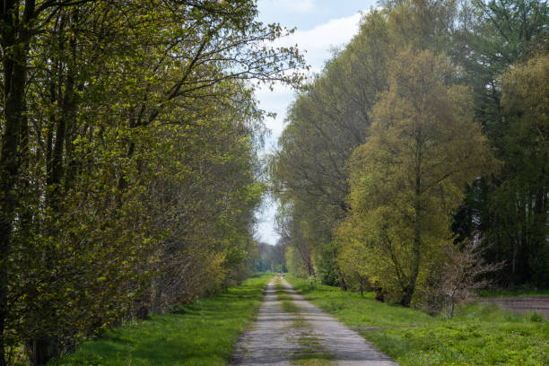 istock wonderful path in the beautiful landscape 2148723551