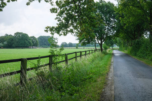wonderful path in the beautiful landscape
