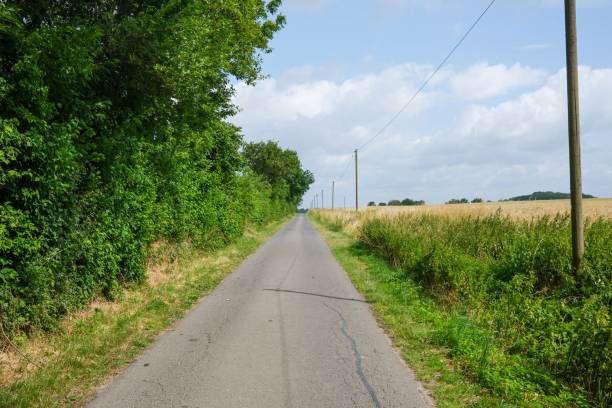 istock deserted country road in the sun 2148724168