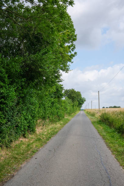 istock deserted country road in the sun 2148724221