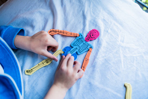 Close-up of a boy playing with anatomical models