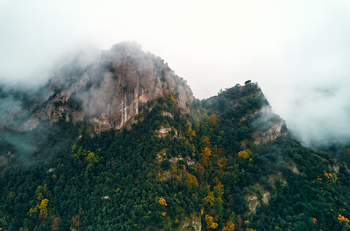 From an aerial perspective, a misty veil blankets a mountain adorned with a lush plant community. The natural landscape is a picturesque blend of trees and fog, creating a serene highland scene