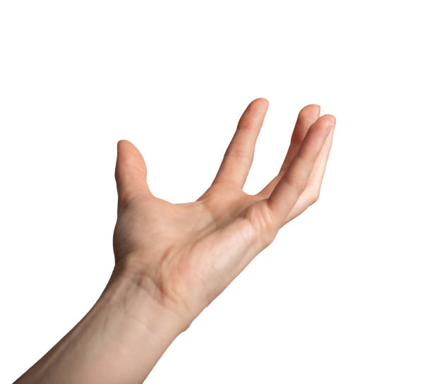istock Hand palm holding something big, huge, taking gesture, isolated on white 2148725686
