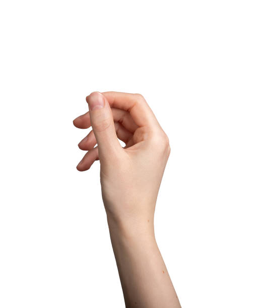 istock Hand holding something, fingers in tiny thin gesture, isolated on white background 2148725687