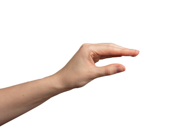 istock Hand gesture, fingers showing something, holding small, little isolated on white. 2148725696