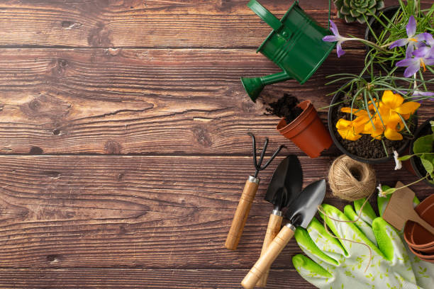 istock Explore the spring garden vibe. Top view captures seedling flowers, gardening essentials, and wooden marker on rustic brown background. Ample space for text or advertisements 2148726124