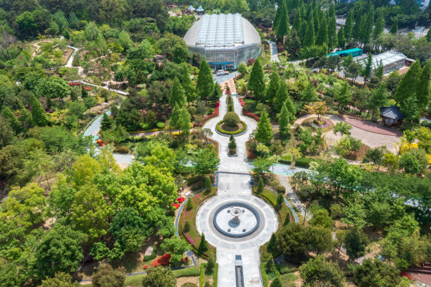 istock Spring scenery of the park taken by drone 2148726547